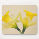 Recherche de jonquilles tapis souris Flore