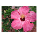 Suche nach gerahmter druck poster Blume