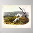 Recherche de agile posters Image