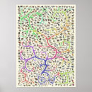 Suche nach theorie poster Evolution