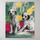 Suche nach dalmatinischer hund poster Welpen