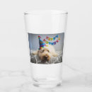 Recherche de photo verres bouteilles Chien