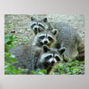 Suche nach characters poster Cute