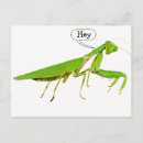 Suche nach gigant poster Grün