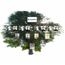 Recherche de arbre photo sculptures Vert