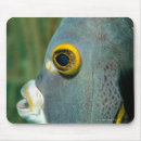 Suche nach tierköpfe mousepads Tiere im wilden