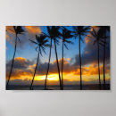 Suche nach hawaii inseln poster Kauai