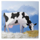 Recherche de vaches carreaux Portrait