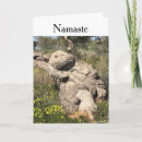 Suche nach olivenbäume karten Olivenbaum