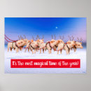 Suche nach weihnachten witze poster Tier