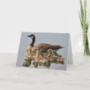 Suche nach mutter gans karten Gänse