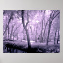 Recherche de noel posters Floride