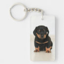 Suche nach sammlung schlüsselanhänger Hund