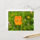 Recherche de fleurs oranges cartes postales Photo florale