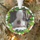 Suche nach boston terrier christmas ornamente Foto