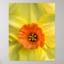 Recherche de vendu posters Jaune