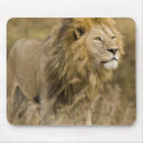 Suche nach großkatzen mousepads Lincoln peak