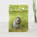 Suche nach groundhogs karten Wild lebende tiere