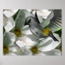 Recherche de cosmos posters Nature