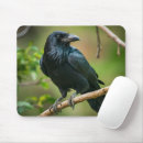 Recherche de corbeau tapis souris Oiseau