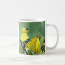 Recherche de goldfinch tasses Muqueuse