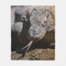 Suche nach komodo drache Tier