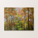 Suche nach herbstwald puzzle Natur