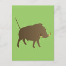Recherche de sangliers cartes postales Sauvage
