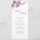 Recherche de orchidée pourpre Lavande
