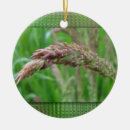 Suche nach gras ornamente Unkraut