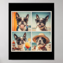 Recherche de terrier de boston posters Rétro