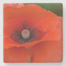 Suche nach mohn untersetzer Rot