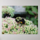 Recherche de abeille miel posters Peinture