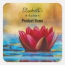 Recherche de lotus photographie Eau