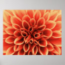 Suche nach schöne blumen poster Daughter