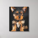 Suche nach yorkshire terrier kunst Welpen