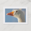 Suche nach gans visitenkarten Modern