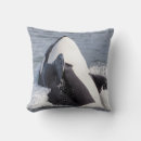 Recherche de prédateur coussins Océan