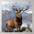 Suche nach landseer poster Landbesitzer