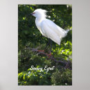 Recherche de neigeux posters Éperon