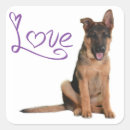 Recherche de german autocollants Chiot