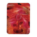 Suche nach leinwand magnete Rose