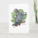 Suche nach afrikanisches grau karten Natur