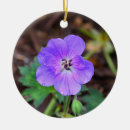 Recherche de circulaire ornements Floral