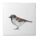 Suche nach spatzen fliesen Aquarell