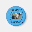 Recherche de les animaux domestiques magnets Dog