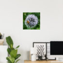 Recherche de pollinisateur art Botanique