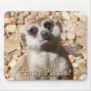 Suche nach meerkats mousepads Niedlich