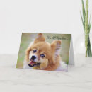 Suche nach spucken karten Hund