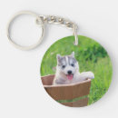 Suche nach husky schlüsselanhänger Welpe